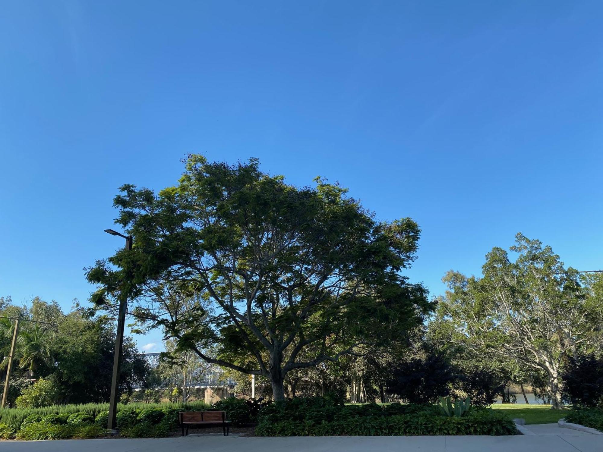 City Ville Apartments And Motel Rockhampton Quarto foto